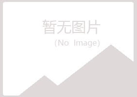 山西夏岚化学有限公司